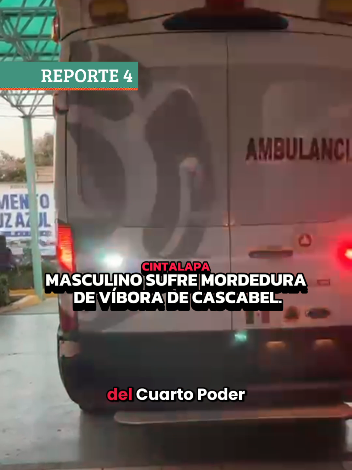 Roberto “N” de 38 años de edad fue trasladado desde la colonia Vistahermosa en un Tsuru rojo que fue interceptado por personal de Protección Civil para llevarlo al IMSS Bienestar. Según refieren el afectado se encontraba realizando labores de campo cuando el reptil lanzó su ataque dejándolo inmóvil del dolor y alertando a sus familiares. #Reporte4 #Cintalapa #Chiapas #CuartoPoderMX