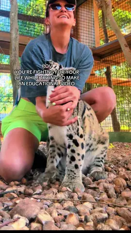 Fighting for my life the whole time😂😂😂#xtremeexoticswildlifefoundation #zookeeper #zookeeper #xtremeexotics #enrichment #animalhumanbond #zoolife #conservation #sweetpeasumiandmaverick #sweetpeaandsumi #ProtectWildlife #cuteanimals #zootok #ProtectWildlife #zootok #skylerthecloudie #cloudedleopard 