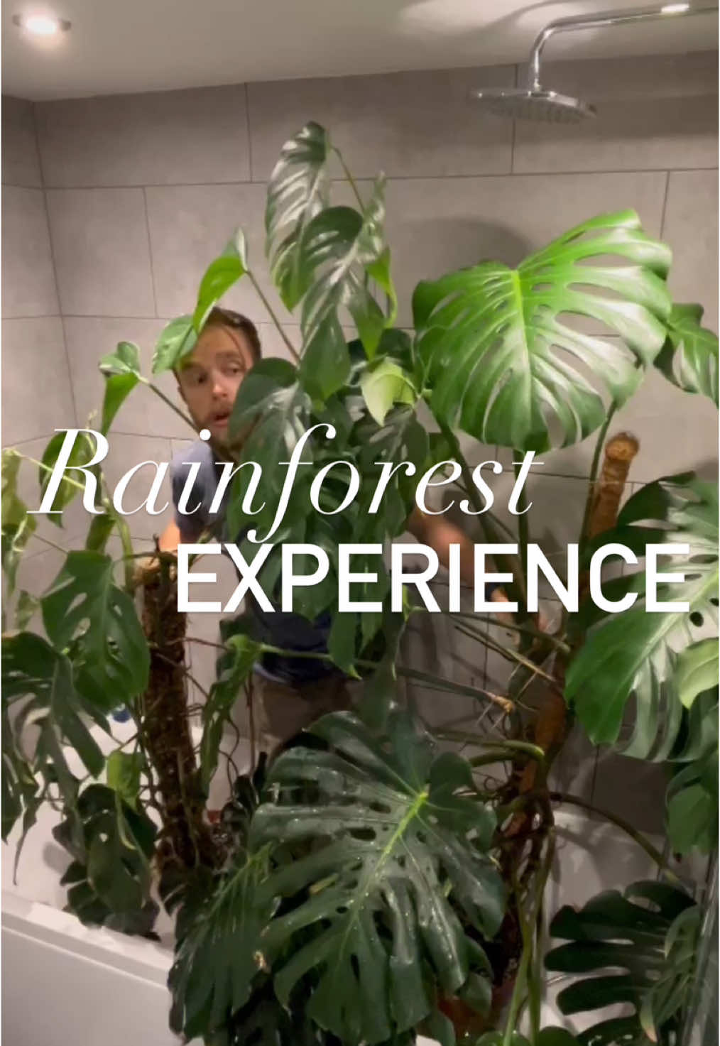 Jungle Shenanigans 🌱🦜🦧 #rainforrest #experience #houseplants #plants #fyp #funny #trend 