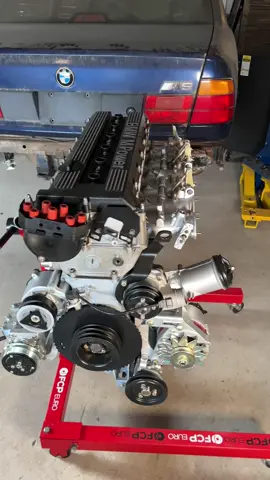 BMW E34 M5 Engine Assembly #bmw #mechanic #automotive #restoration #cartok #tiktokautocampaign @FCP Euro @gearwrenchtools 