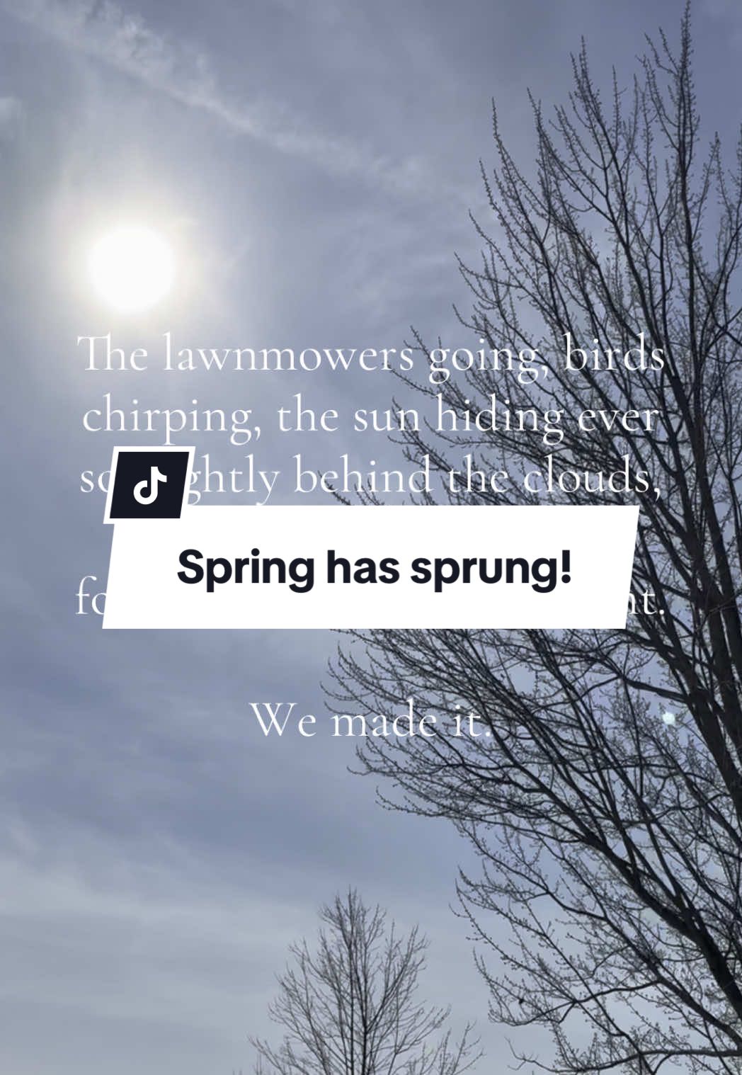 We survived another winter! New beginnings and warm sun filled days are ahead of us 🌷🌼☀️ #spring #sun #warm #sunnyday #springtime #happiness #winterisover #outside #Outdoors #flowers #newbeginnings 