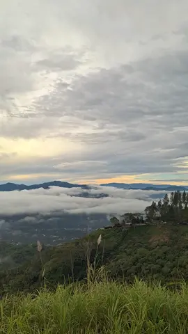 #vibes #sunrise #takengon #dingin #fypage #fyppppppppppppppppppppppp 