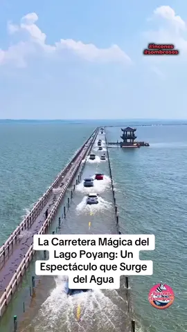 La Carretera Mágica del Lago Poyang: Un Espectáculo que Surge del Agua