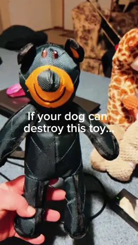 Dog 🧸 #tiktokshop #gift #foryou #toy #dog #fyppppppppppppppppppppppp #fypシ゚viral #cute #special #fypシ゚viral 