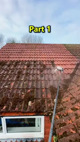 My birthday, Dad announced, You're a burden and you can't live with us anymore. I cut off the electricity bills and left them in the dark.#reddit #redditstories #redditreadings #askreddit #reddit_tiktok 