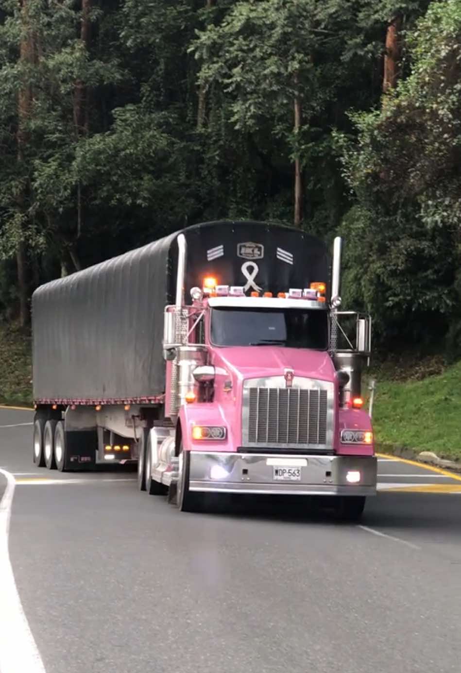 #almejorestilocamionero💥🇨🇴🚛💯♥️ #seguidores #paratiiiiiiiiiiiiiiiiiiiiiiiiiiiiiii #fyp #amorporlastractomulas😍😎 #mulasconestilo💎🇱🇷 #kenwortht800 #tractomulascolombianas😍 #camionesconestilo #mulascolombianas 