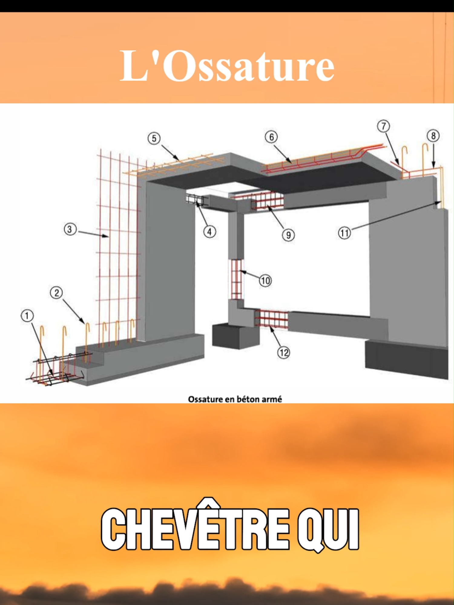 les différents élements d'une ossature en béton armé#géniecivil #btp #construction