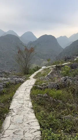 The most beautiful country  #vietnam #vietnamese #vietnamtravel #travel #traveltiktok #traveling #vacation #seasia #yoursign #fyp #foryoupage #creatorsearchinsights 