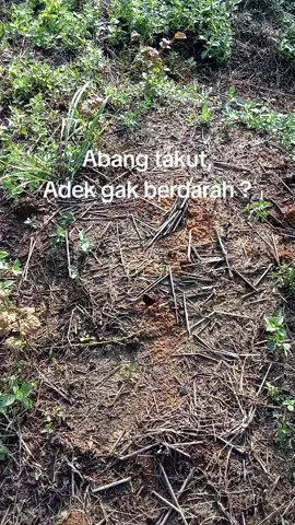 #storyalatberat #operator_excavator #kulicangkul #fyppppppppppppppppppppppp 