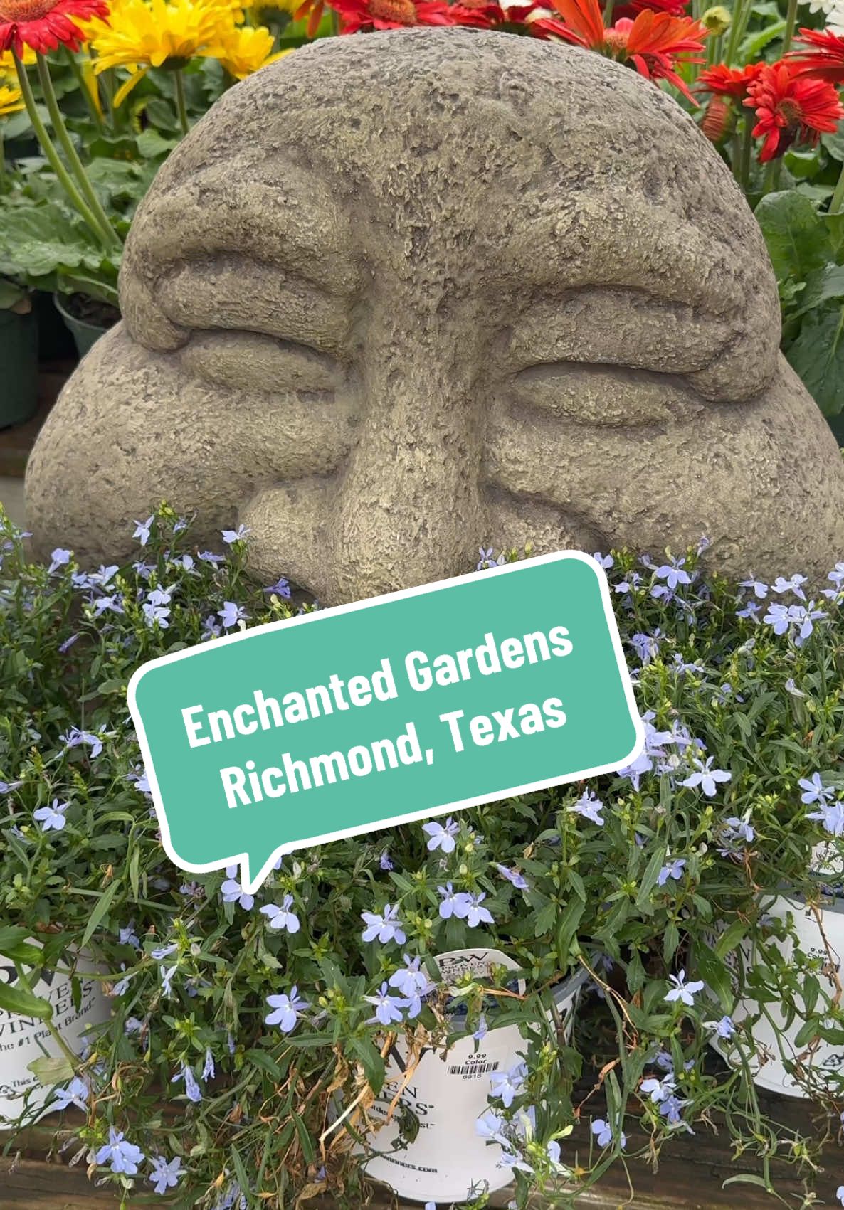 Enchanted Gardens in Richmond, Texas. This place was so beautiful.  #EnchantedGardens #RichmondTexas #PlantNursery #TexasGarden #RaisedGardenBeds #Gardening #Springtime #VegetablePlants #Herbs  