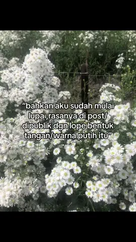 miss my favorit stranger🙂#sad #galaubrutal🥀 #sadstory 