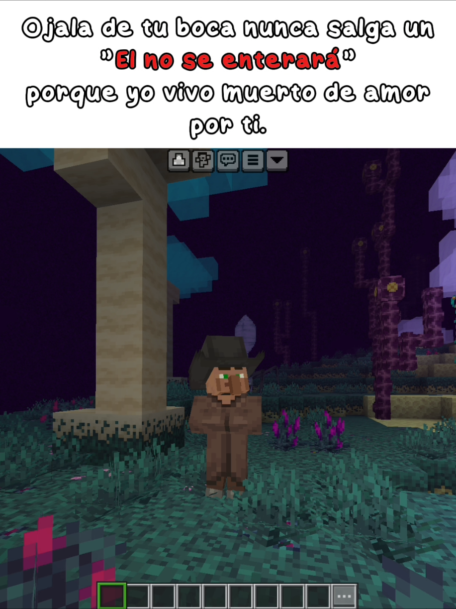 #Minecraft #textorojo #parejas #xybca 