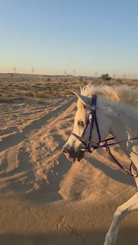 ما كنك اتدوس الثرا باقدامك كن الثرى تحتك يسير اموه 💙🐎