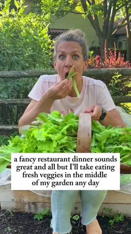 If you hate salad…you’ve just never had it fresh from the garden. 🥗 Go to my bio because I PROMISE YOU once you taste homegrown greens, you’ll never go back! I thought I didn’t like salad. But that’s because I was used to eating 2-week-old slimy greens from the store. The moment I grew my own, it was game over Store-bought greens are picked, packaged, and shipped weeks before they touch your plate. But when you grow them yourself? You harvest, rinse, and eat them right away, while they’re still crisp, sweet, and packed with nutrients. If you’re curious about growing your own salad I have the perfect kit for you! The Simple Salad Box has everything you need to grow REAL salad. #garden #gardening #salad #lettuce #meme #funny