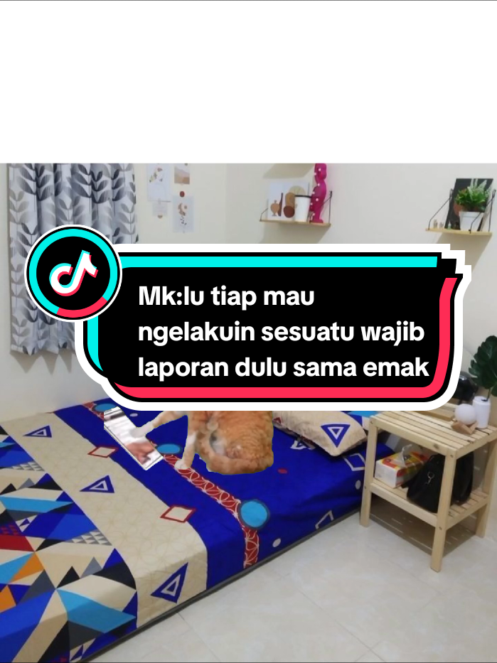 kalo ga laporan tuh rasanya kek ada yg kurang gitu😭 #memekucing #meme #fyp 