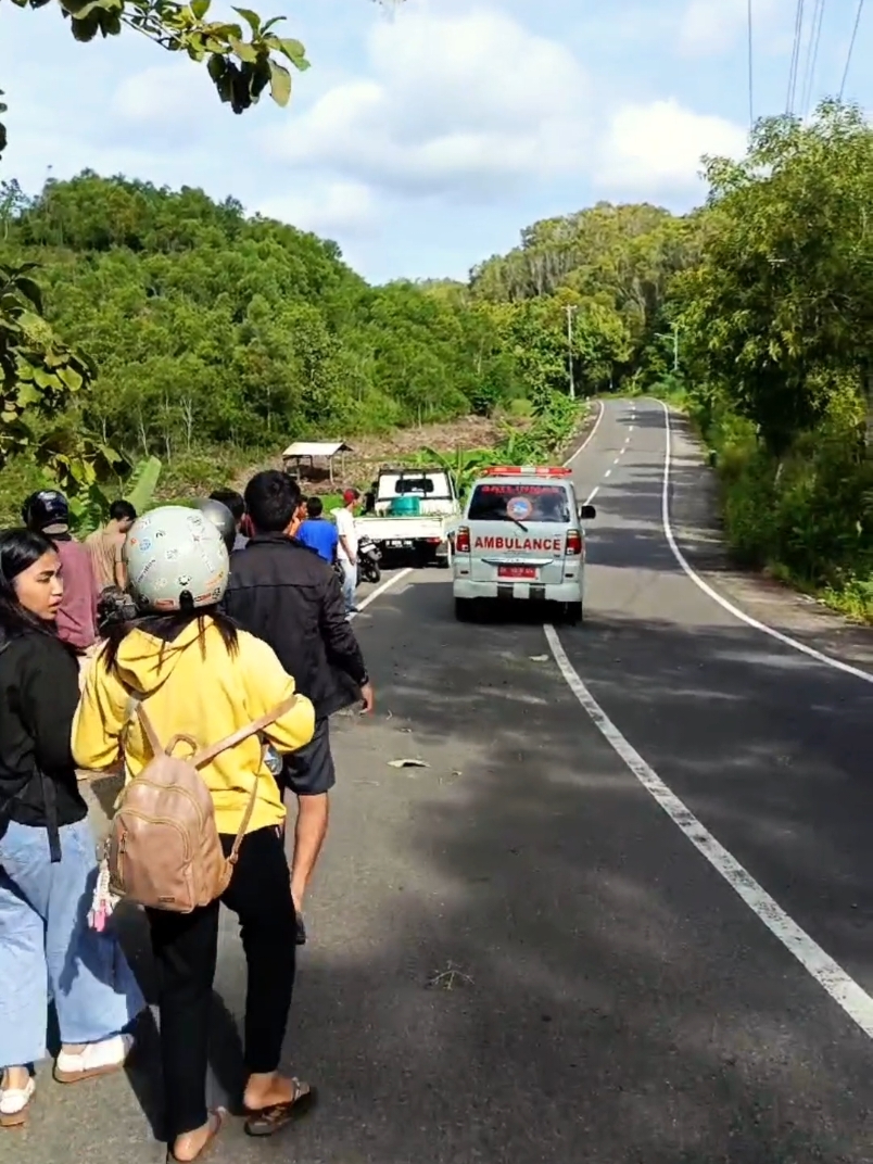 Selalu Fokus dan Berhati hati di jalan luurr,.  Telah terjadi laka tunggal sepeda motor terjun bebas di tikungan sebelah barat pertigaan pantai sepanjang gunungkidul. (15/3/2025) pagi. Korban merupakan wisatawan asal yogyakarta yang hendak pulang dari pantai watukodok seusai ngecamp bersama teman temannya. Di duga korban tak hafal jalan, saat perjalanan pulang sampai di tikungan sebelah barat pertigaan sepanjang sepeda motor tak bisa di kendalikan dan terjun masuk tegalan. Korban mengalami luka luka di bawa ke rumah sakit oleh ambulan satlinmas baron dan sepeda motor korban mengalami rusak parah di bawa ke bengkel. Semoga korban lekas membaik... #updatedisini #update #jalurwisata #gunungkidul #jogja #fyp #fyppppppppppppppppppppppp #gunungkidulupdate #gunungkiduljogja #jogja24 #gunungkidul24jam 