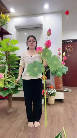Hoa sen rất dễ cắm ạ, hoa lụa trang trí nha cả nhà #hoagia #trangtrinha #hoalua #hoasengia #hoasenquanam #phatphap 
