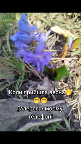 #юмор #гламурныймейк #рекомендації #магазинвітряк #магазин #вітряк #колега #гумор #реки #робота #приколи #рек 
