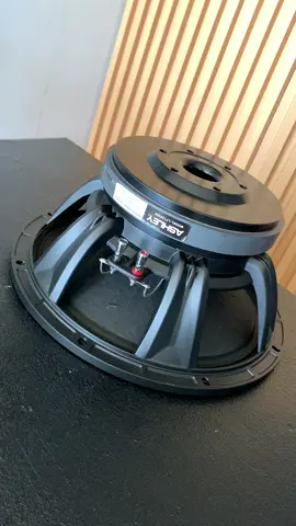 READY SPEAKER KOMPONEN ASHLEY LF12V300 #rwjelektronik #rwjaudio #ashley #soundsystem #horeg #soundhoreg #rwjaudiokediri #soundhoregjawatimur 