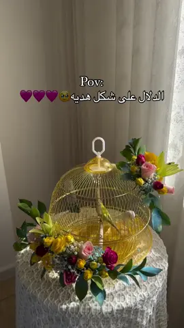 لسعر :- طيرين وتزيين وقفص 20 الف متوفر توصيل بجميع محافظات العراق 🎁✨ متوفر 💰 كاش او رصيد او زين كاش #طيور #حب #بلابل #كناري #طيور_حب #عصافير 