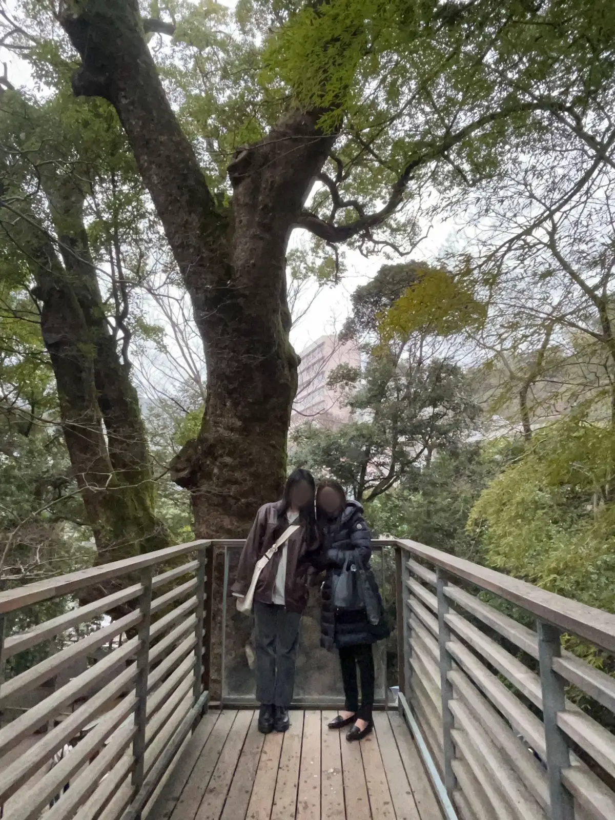 その瞬間を忘れたくない #熱海 #弾丸旅行 #来宮神社 #自然界隈 #07 