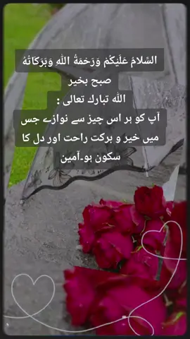 #🇬🇧🇬🇧  #السلام عليكم ورحمة اللّٰه وبركاته #subhanallah  ##صباح_الخير  #⚘️⚘️❤ 