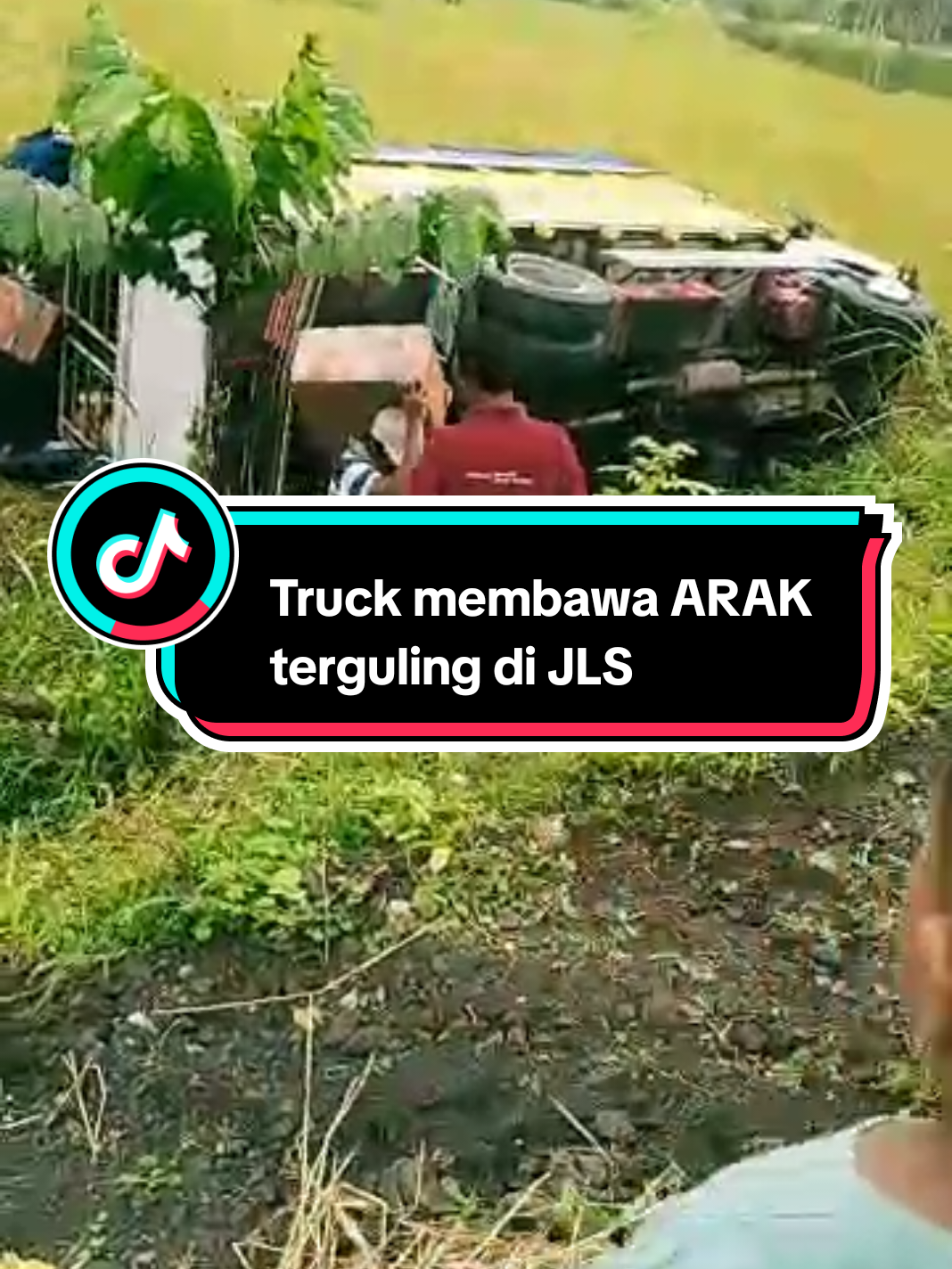 Truck membawa 