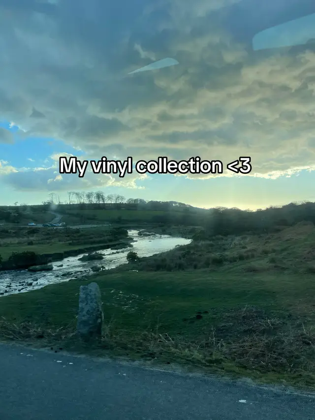#fyp #vinyls #Love #music #declanmckenna #harrystyles #ths1975 #themuppets 