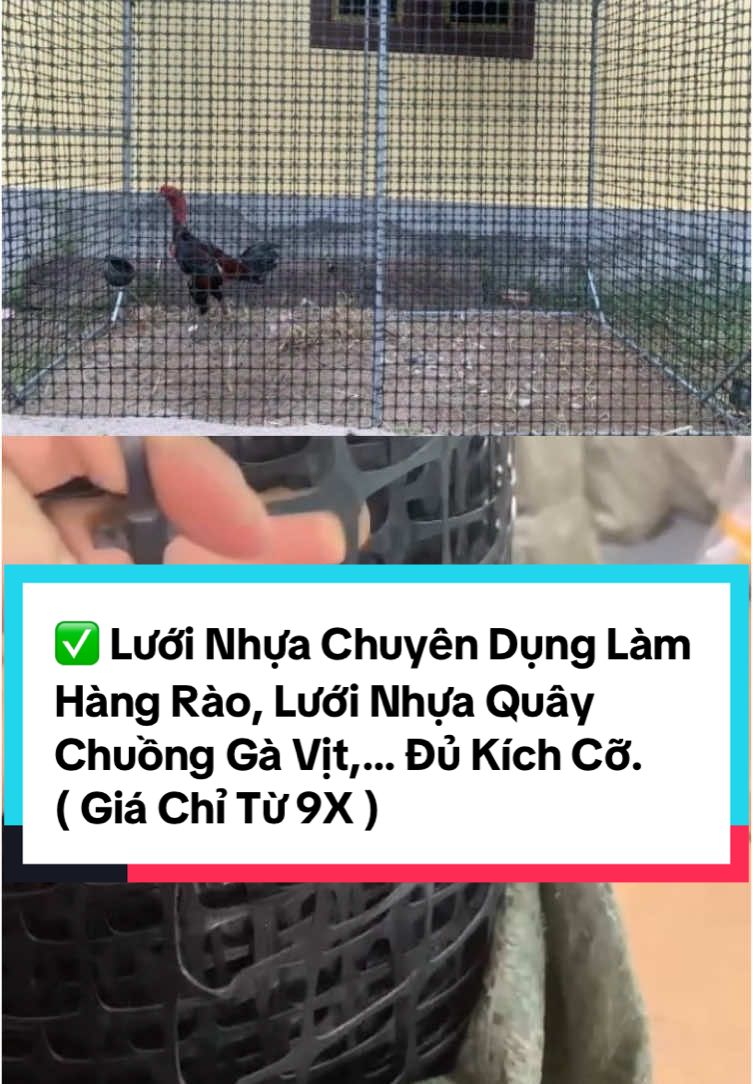 Lưới Nhựa Chuyên Dụng Làm Hàng Rào, Lưới Rào Gà Vịt, Lưới Nhựa Quây Chuồng Gà Vịt,… Đủ Kích Cỡ #diepfishing #luoinhuanguyensinh #luoinhua #hangraonhua #luoinhuaquaychuongga #luoinhuaquayvuon #luoinhuaquayga #xuhuong 