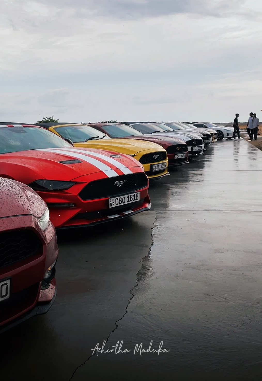 Mustang Meetup එකට ආවේ කවුද? ❤️🐎 @Mustang Owners Club Sri Lanka  @kamesh_wijesekara @yasith_lakshan  @Kanchana Thimira @Mahima jayawardena  #mustang #fordmustang #americanmuscle #srilanka #achinthamaduka #fyp #trending #viral #tiktok #carsoftiktok #cars #onthisday #foryou #colombo 