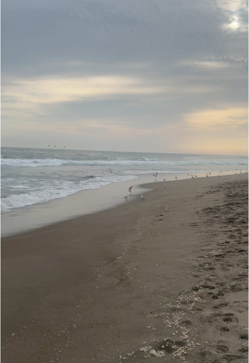 Playa la Encantada - Chorrillos #peruanosenelmundo #peruanosenelextranjero #peruanosenchile🇵🇪🇨🇱 #peruanosenitalia #peruanosenjapon🇵🇪🇯🇵 #peruanosenmadrid🇵🇪😃 #peruanosenusa🇺🇸🇵🇪 #lima #enanitosverdes 