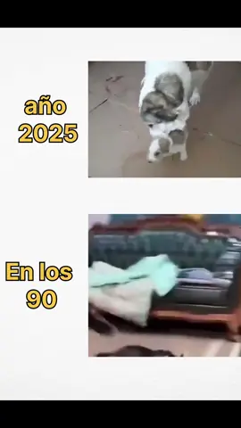 educación antes vs ahora #humor #meme #viral #mascotas #perros #chancla #educacion #antesvsahora 