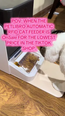 PETLIBRO RFID Automatic Cat Feeder, 5G WiFi pet feeder with 3L capacity, app control, and collar tag sensor for 1-10 programmable meals, Cat Supplies, Automatic Cat Feeder, Cat care, pet accessories #catcare #automaticcatfeeder #petlibro 