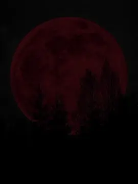 Blood Moon>> #capcut #foryou #foryou #foryou #vairal #fppppppppppppppppppp #vampire #bloodmoon  #fpy #new #newtrend #1M #ewr_ishu_07 #trend #trending @TikTok Trends 