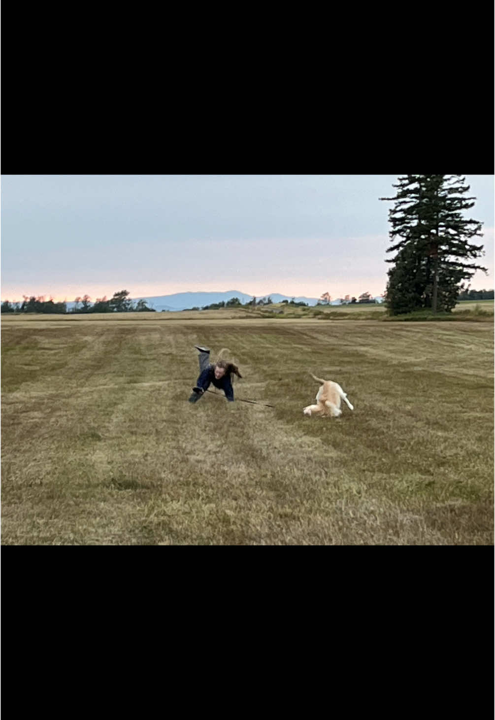 me bc my dog has absolutely NO manners. embarrassing. #embarrassing #fall #dogmom #dogspullingleashes #funny #relatable #viralvideo #viraltiktok #fyp #foryou #foryoupage #fypシ 