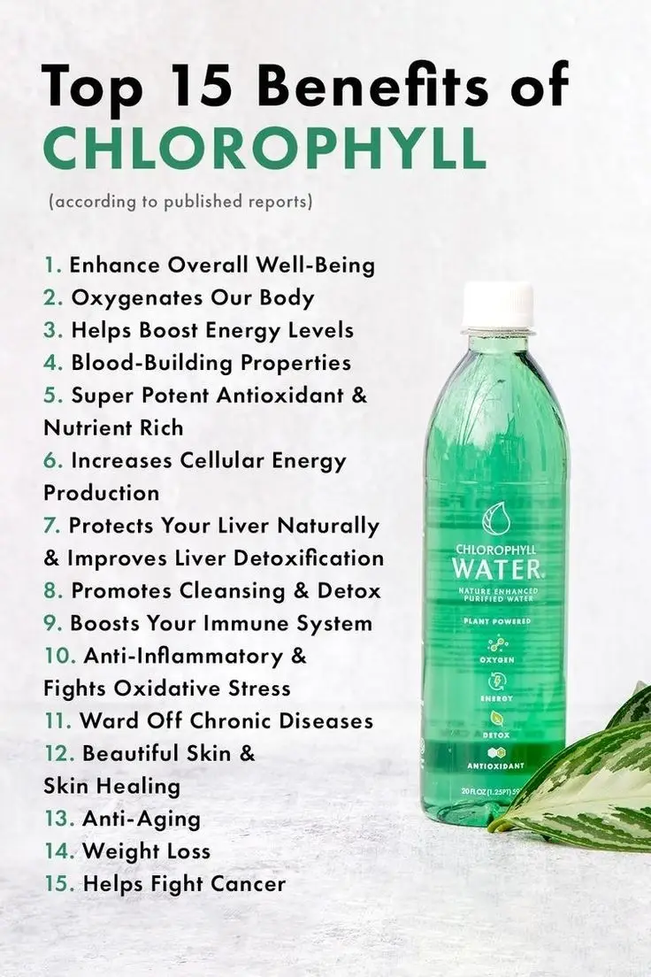 #ChlorophyllBenefits #GreenSuperfood #HealthNutrient #NaturalEnergy #DetoxifyingAgent #FightsInflammation #BoostsImmuneSystem #SkinHealth #WeightLossSupport #ChlorophyllLiquids #HealthyLiving #BreathOfFreshAir #AccelerateHealing #WellnessJourney #PlantPower #VitaminsAndMinerals #LeafyGreenNutrition #NutrientRich #VitalityEnhancer #NatureHealing 