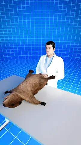 Beaver Butt Glands Used For Vanilla Flavoring 🤢