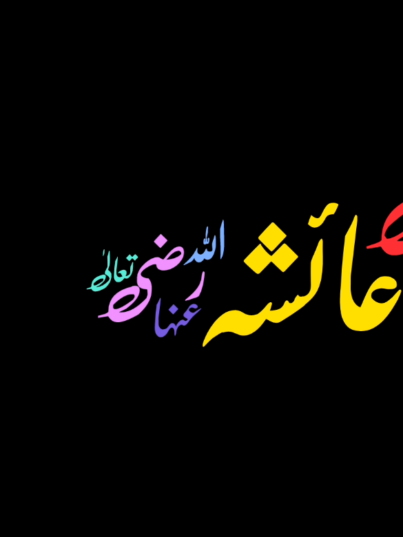 17 رمضان یومِ وصال حضرت عائشہ صدیقہ سلام اللہ علیہا  #hazratayesha #viralvideo #haqcharyaar #muslimtiktok #muslimtiktok #foryou #ahlyhadis 