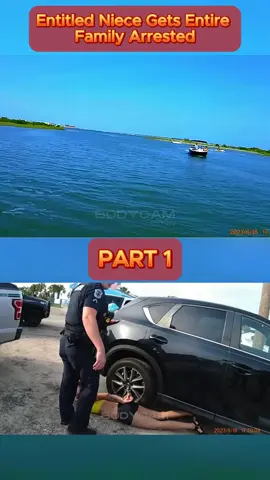 Entitled Niece Gets Entire Family Arrested - Part 1 #cops #copsoftiktok #copsontiktok #copstiktok #police #chase #copschase #foryou #fyp #usa 
