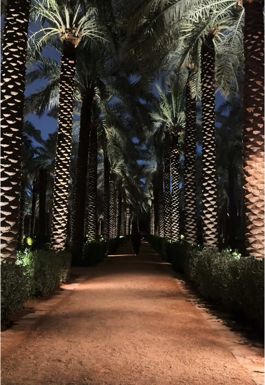 ‏‎تمشّى بالظويهرة.. واستمتع بـ ‫#رمضان_الدرعية 🌙‬🌴 ‏Take a stroll through Adhawihrah, where the spirit of ‪#RamadanInDiriyah‬ comes to life 🌙🌴
