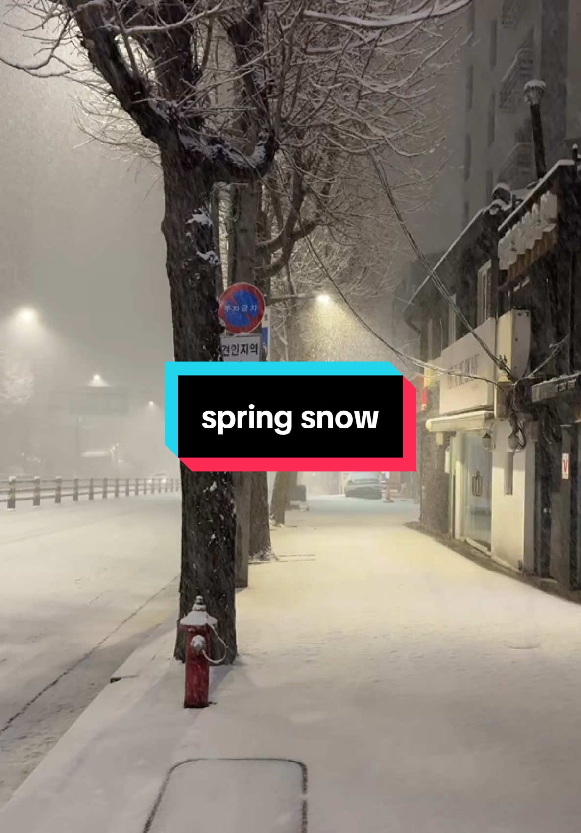 Woke up unexpectedly... and nature had a surprise 03/18/2025  #CapCut #fyppppppppppppppppppppppp #fypシ゚viral #fy #koreatravelguide #seoullife #seoultravel #snow #snowinspring #springsnow #seoulsnow 