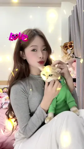 Con mèo này xinh phải không ae🥰 #gaixinhtiktok  
