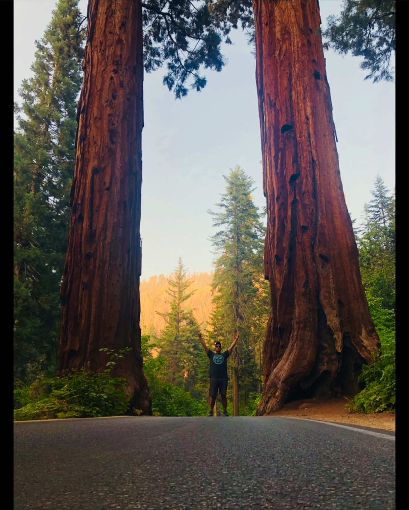 The biggest trees in the world. #Sequoia #National #park.  Took a solo trip and every second was breathtaking, whatever you do go see this one day. 