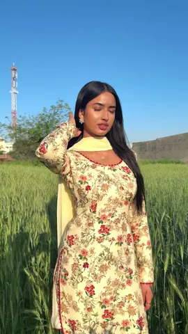 🌾 #fyp #punjab 