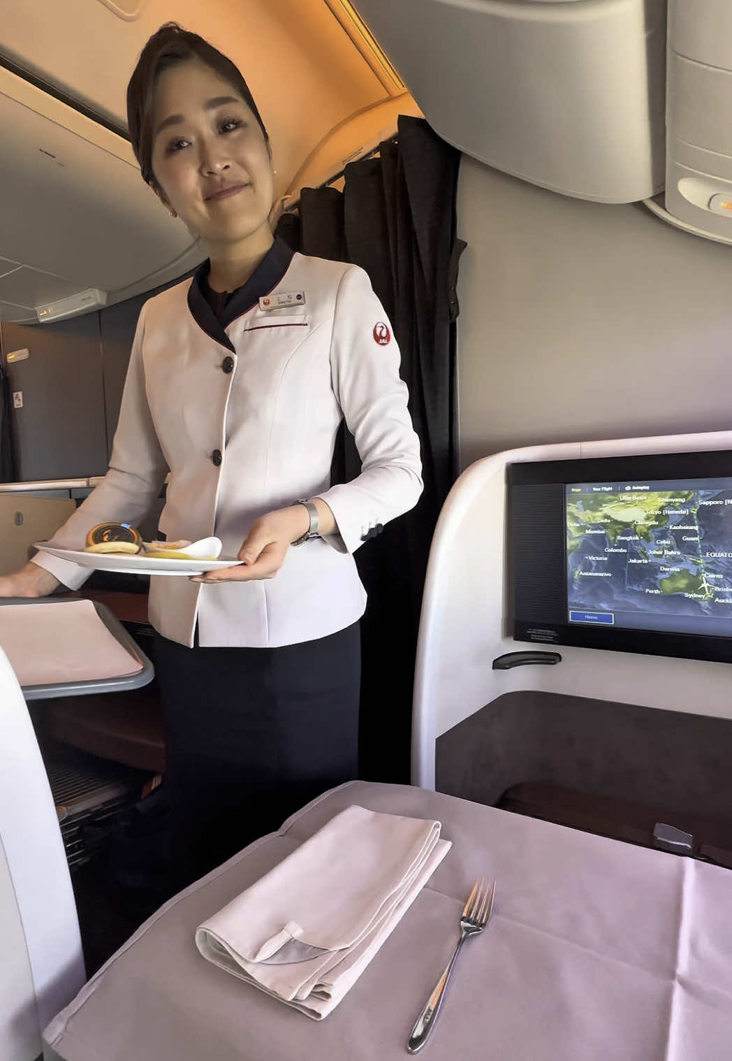 A flight on Japan Airlines #firstclass #flight #travel #aviation #traveltok #plane 