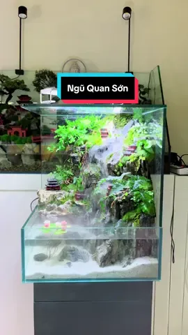 Setup tiểu cảnh trang trí góc bàn làm việc #ngocaquadesign #aquarium #terrarium #xuhuong #thuysinh #tieucanhmini 