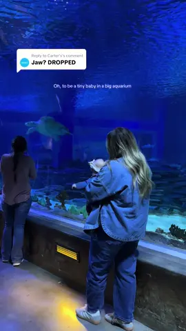 Replying to @Carter’s Baby's second time at the aquarium was just as magical #babytok #babyactivities #babysensory #fivemonthsold #firsttimemomtips 