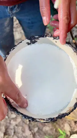 #rubber #rubbertree #satisfying #oddlysatisfying #asmr #fyp 