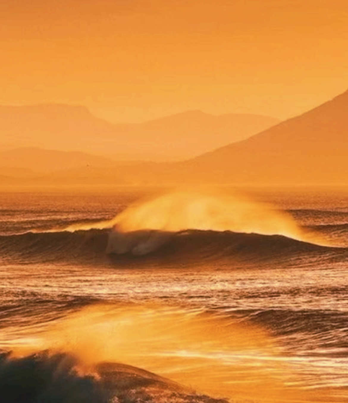 How this song feels😭😭                     🌅🪸🪼🌊🌞🐠 - - - - - - -   #CapCut #summervibes #Summer #ladykillers #geazy #yolo #goldenhour #sunset #sunrise #surf #surfing #fyp #comfort #missingsummer #goodtimes #acaibowls #fun #summeraesthetic #summervibes 