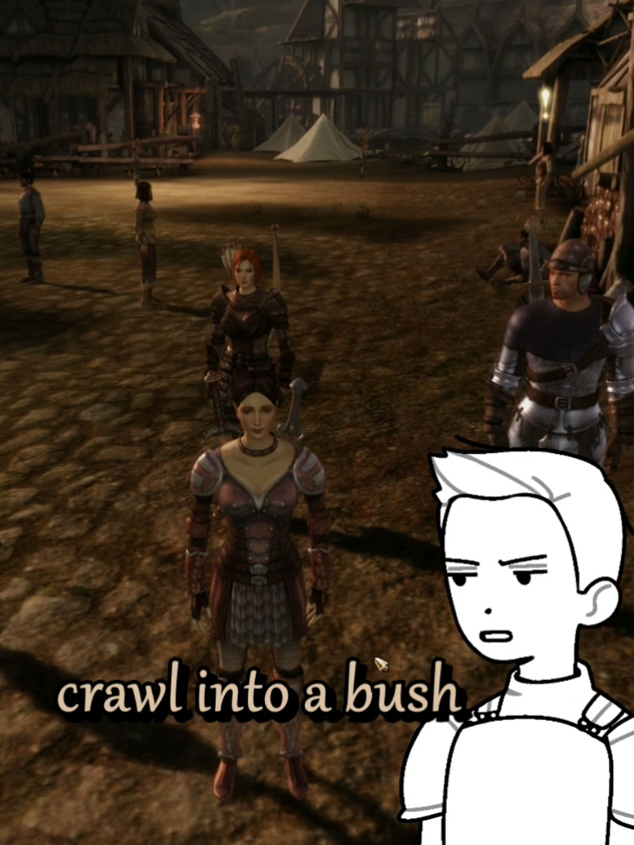 aww they're getting along so well 😊 #dragonage #dragonageorigins #dragonagemorrigan #dragonagealistair  #alistairtheirin 